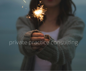 private practice consulting